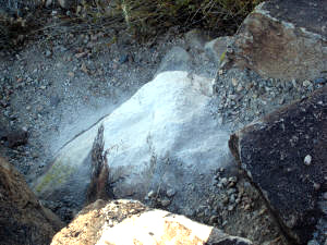 Willis' last remains.