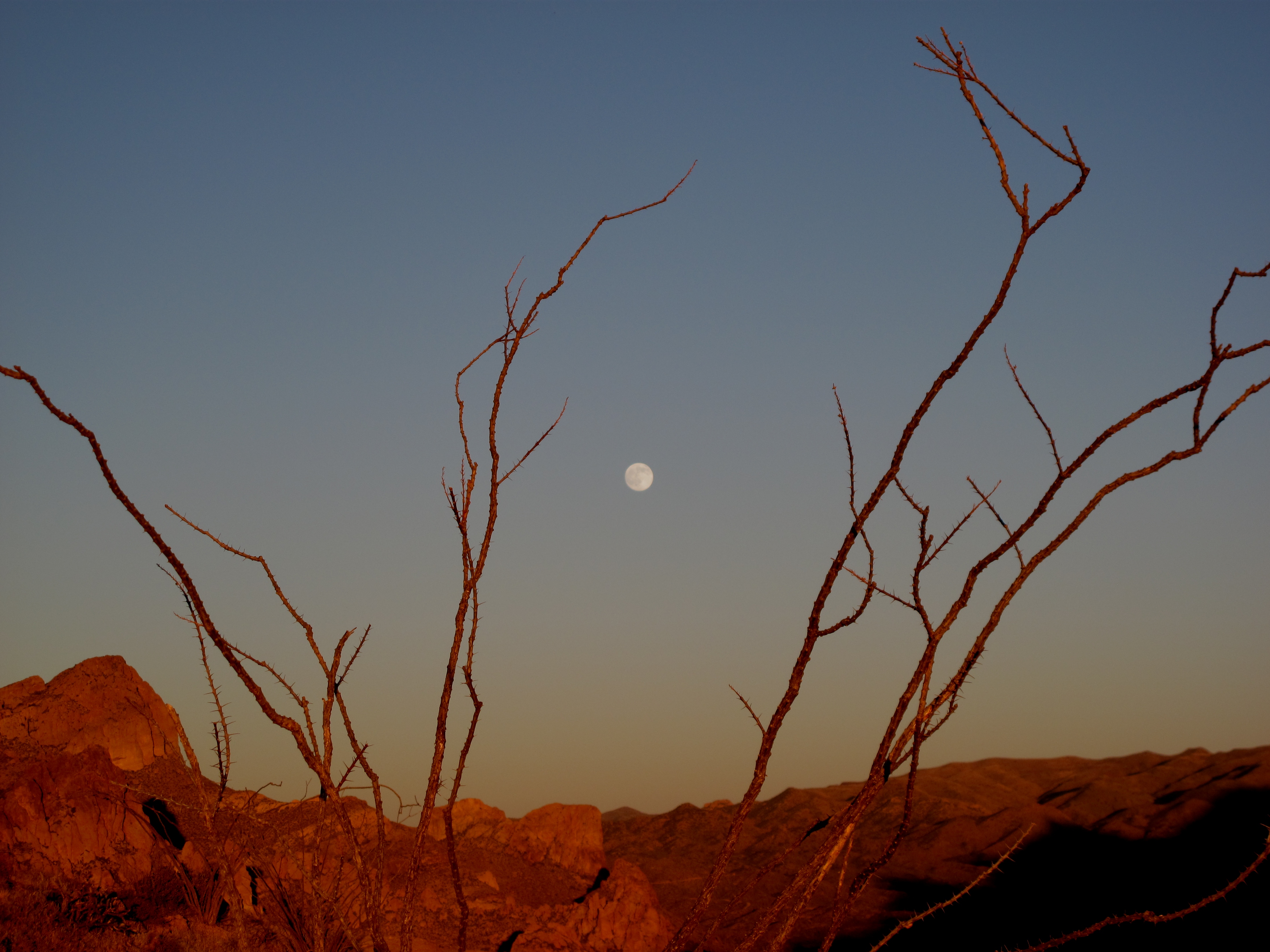 Moon over the Superstitions.