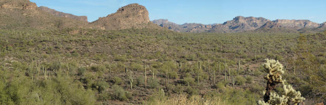 Vista from Hieroglyphic Trail