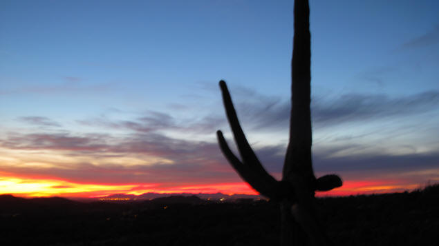 Sunset and saguaro.