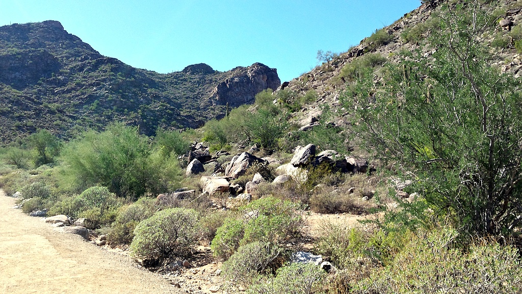 White Tank Mountain Regional Park