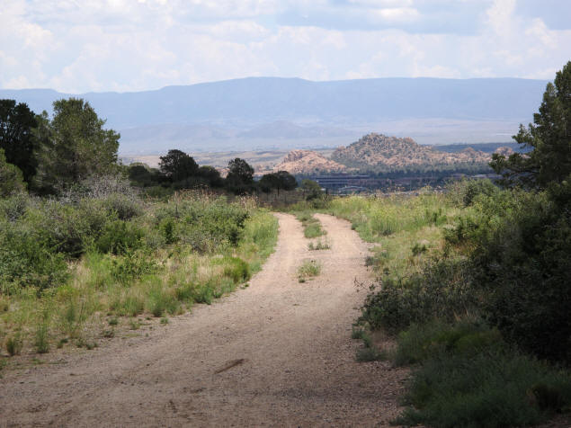 Old wagon road in Pioneer Park.