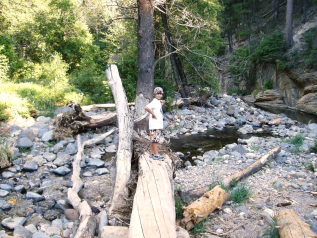 Zach, on a log.