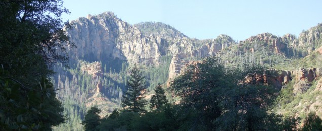 Pines line the walls of Oak Creek Canyon.