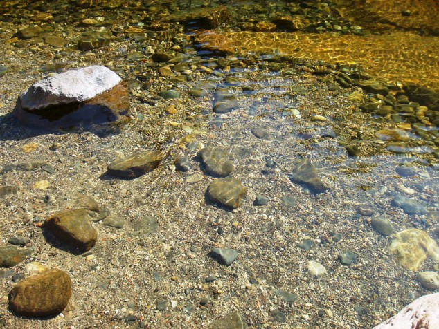 The water was crystal clear.