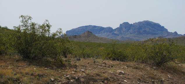 Saddle Mountain from the east.