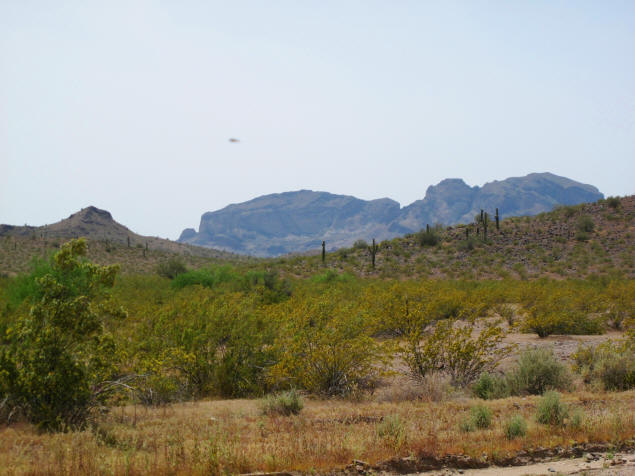 Saddle Mountain.
