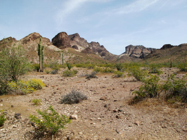 Saddle Mountain's saddle.