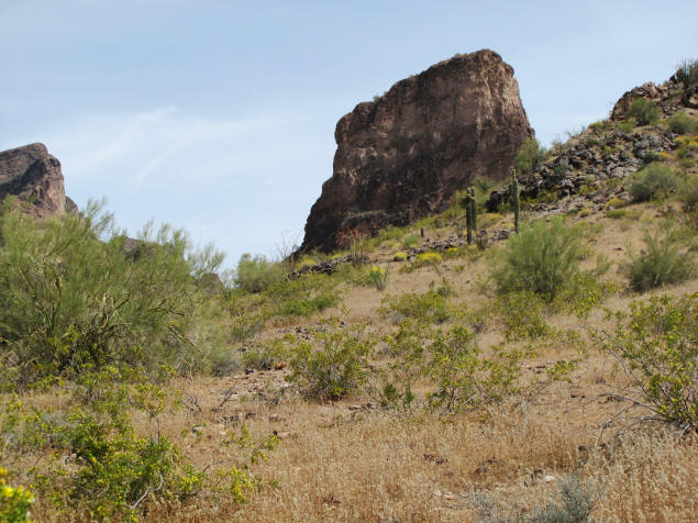 Saddle Mountain cinder cone.