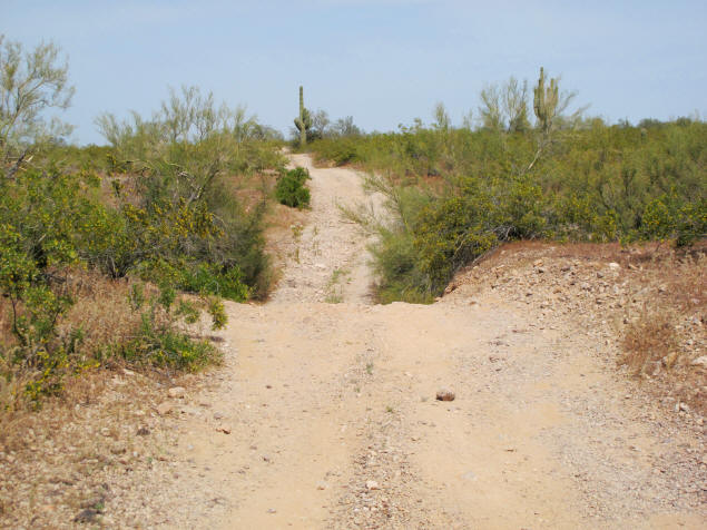 Road washout near Saddle Mountain.