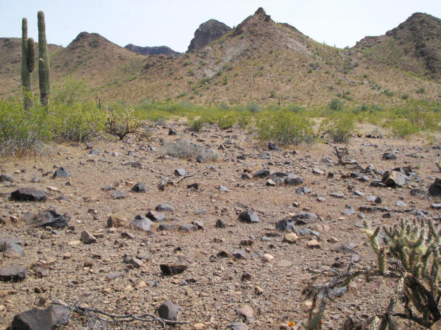 Saddle Mountain cinder field.