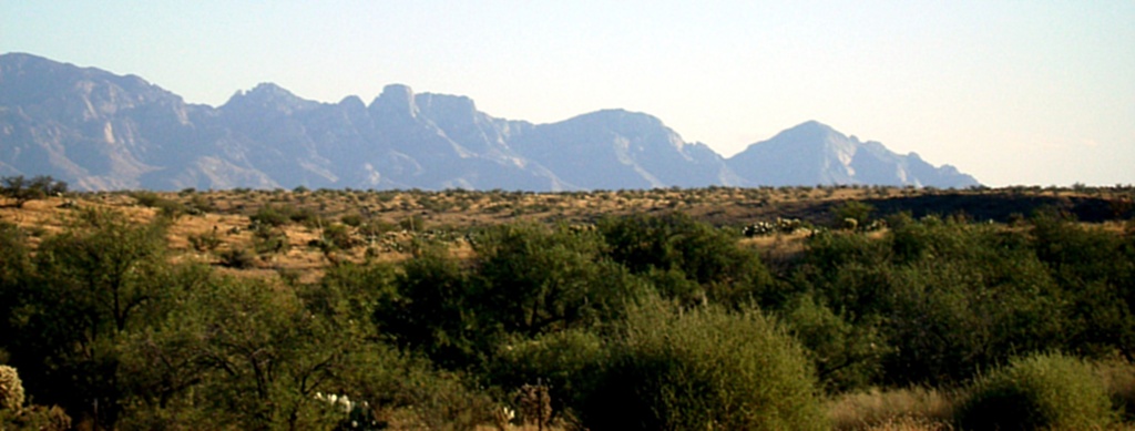 Nearest neighbor: Mount Lemmon.