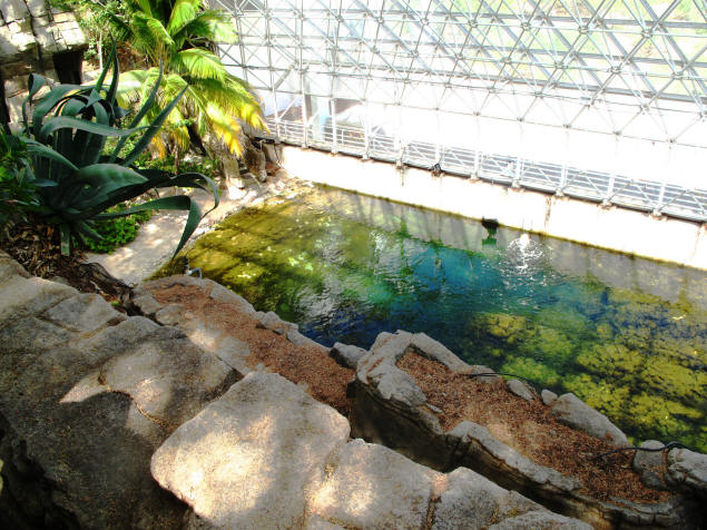 The ocean of Biosphere 2.
