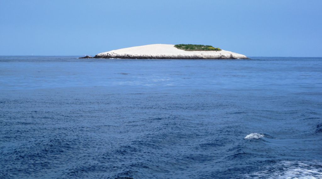 Bird Island