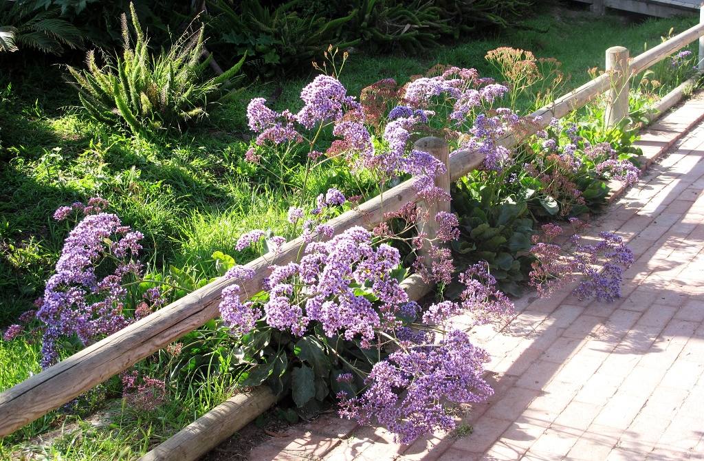 Decorative flowers in Two Harbors