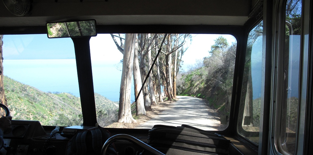 Trees served as guard rails.