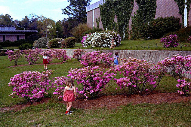 The kids playing at the UWF campus.