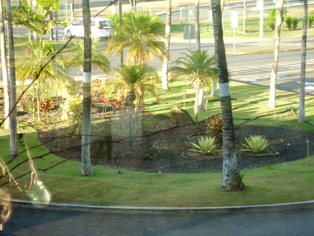 The view from inside Honolulu airport.