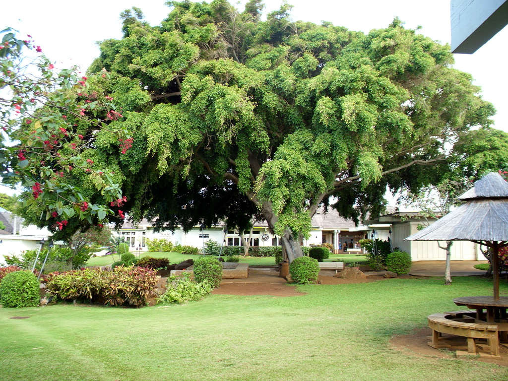 The lanai at the shopping center.