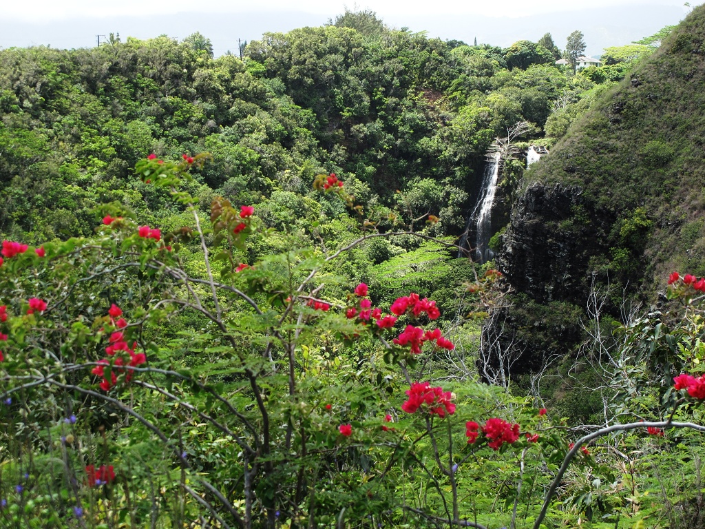 Opaeka'a Falls