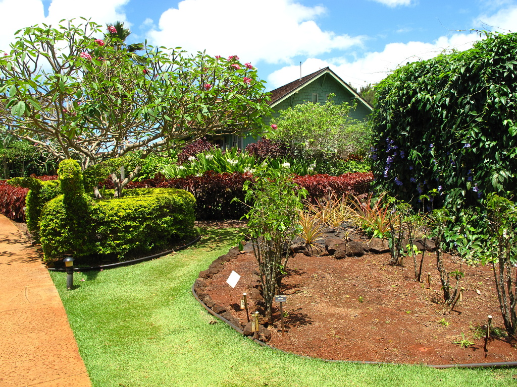The Botanical Garden