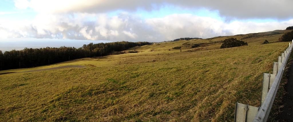 Field on the side of Haleakala.