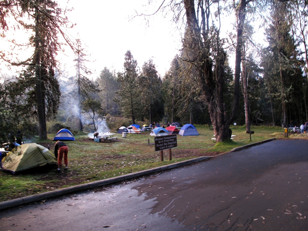 Hosmer Grove Campground.
