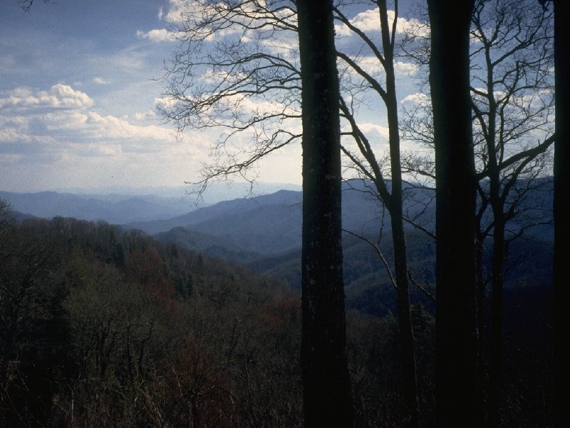 View From a Summit