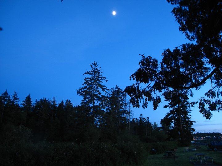 Moon over Birch Bay State Park.