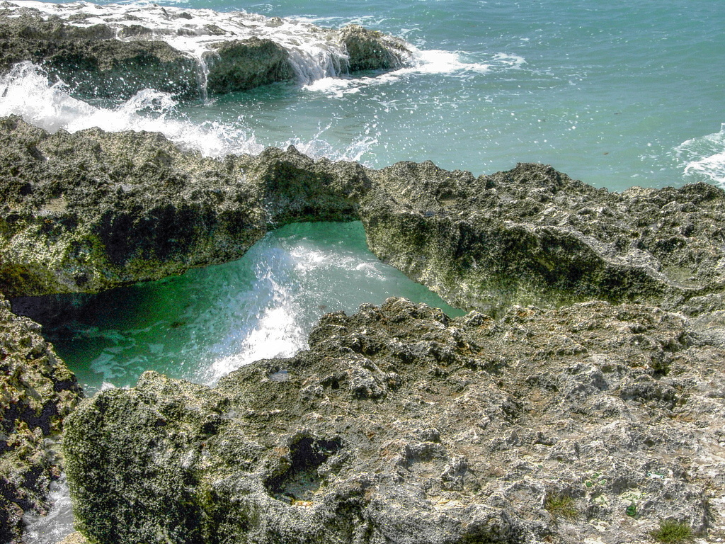 Water-worn coral at Seven-Mile Beach.