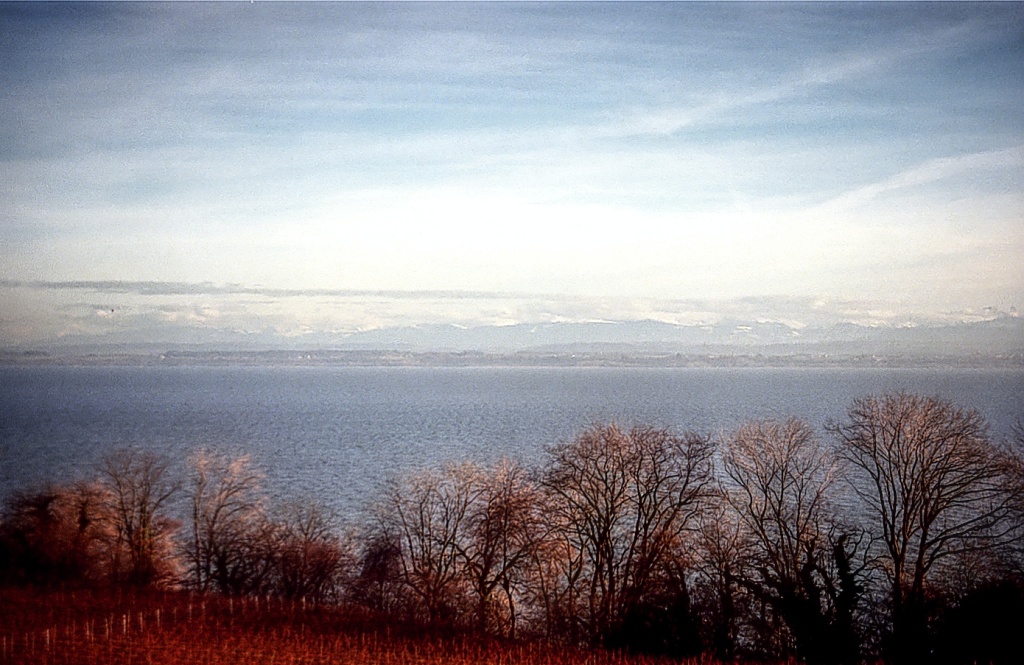 Swiss Lake