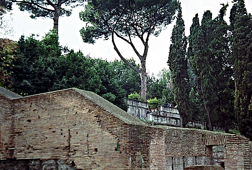 View of Palatine Hill