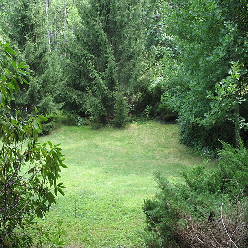 Woods near Townsbury, New Jersey