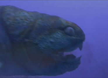 Dunkleosteus, top predator of the Devonian period.