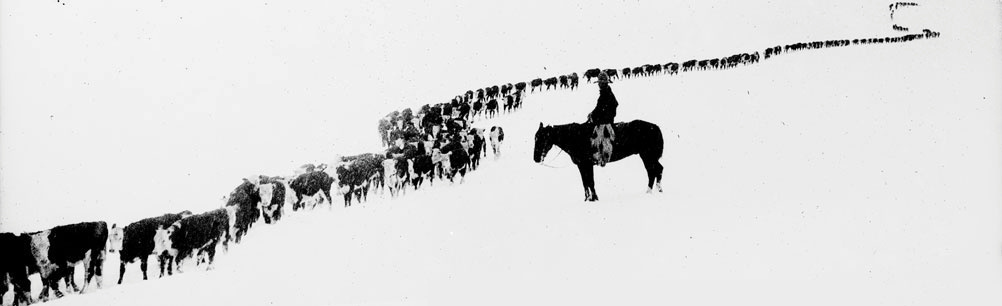 Long, Long Trail A-Winding, Charles Belden
