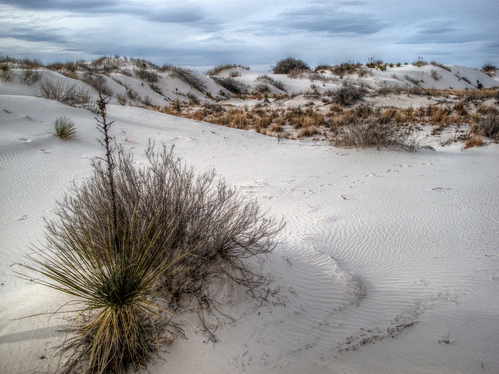 Desert. Immense.